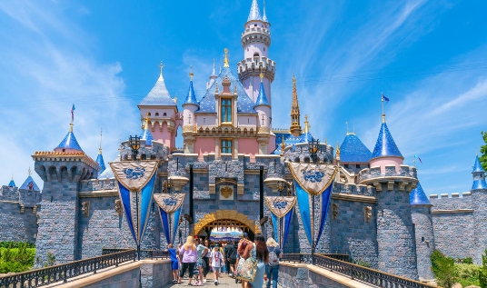 $50 disneyland tickets