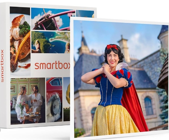 smartbox disneyland