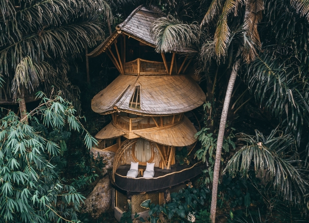 tree house bali